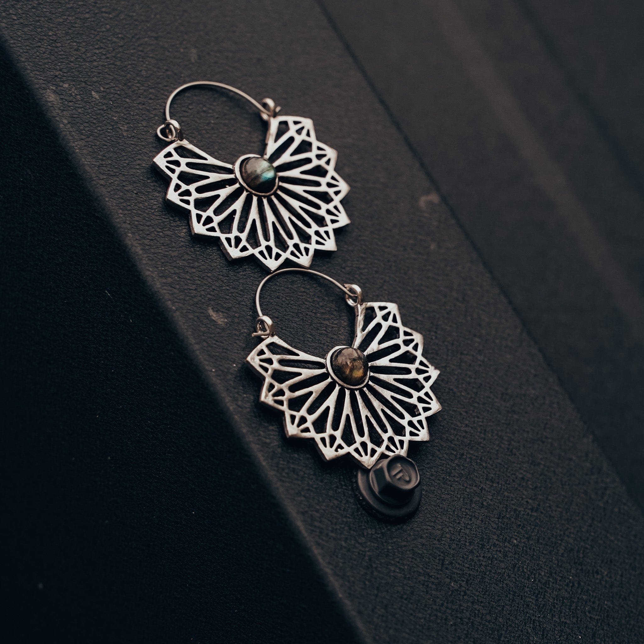 Earrings Wandergleam Earrings