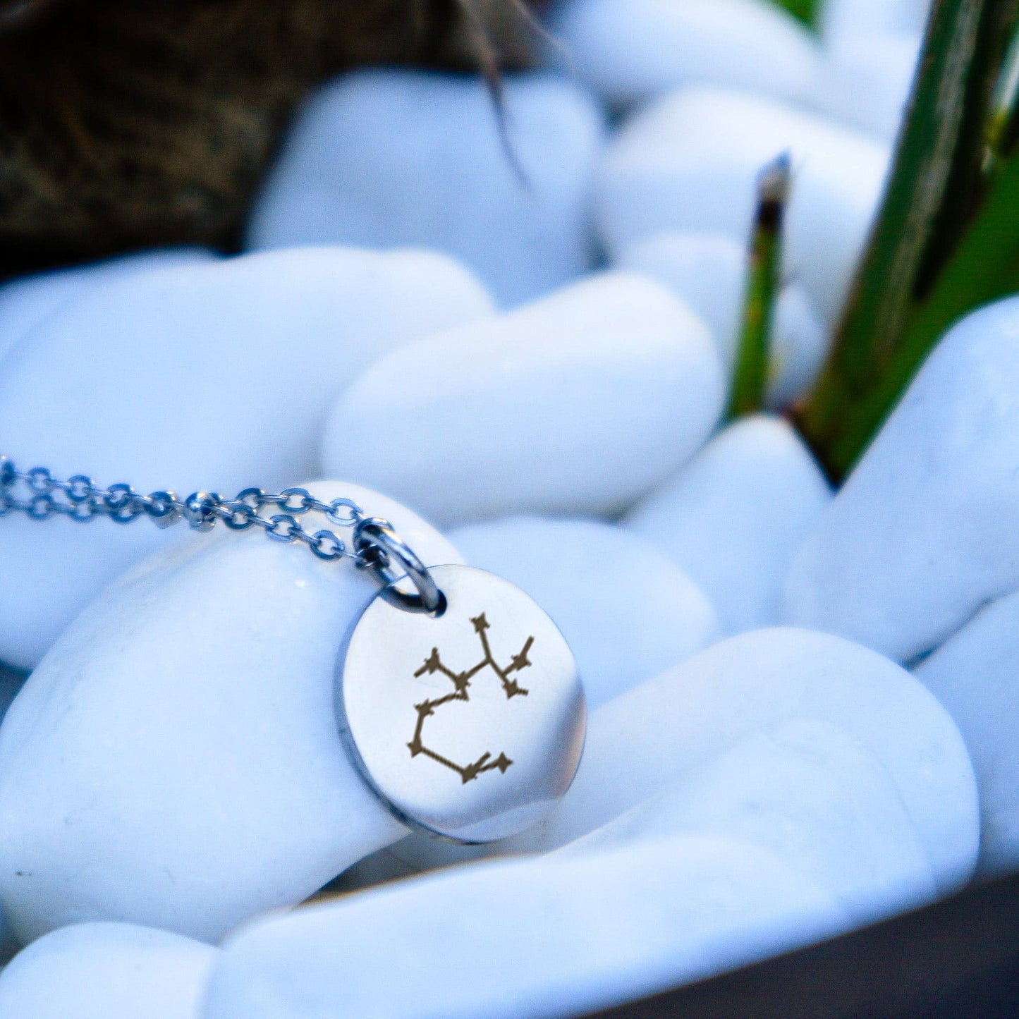 Engravable Coin Necklace