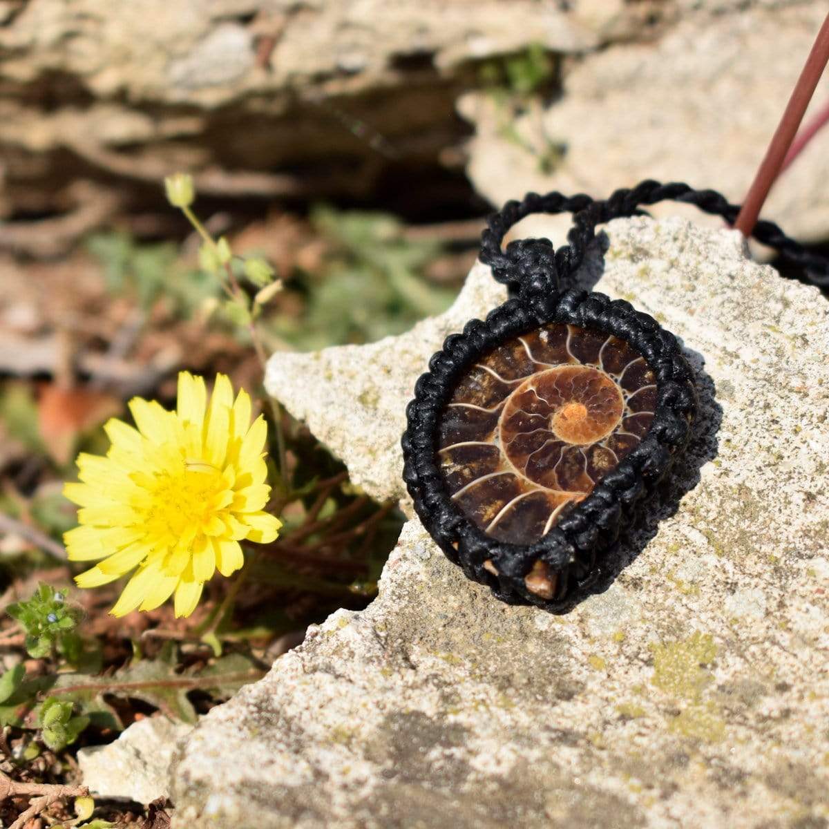 Macrame pedant Ammonite Pendant