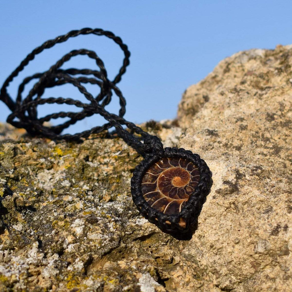Macrame pedant Ammonite Pendant