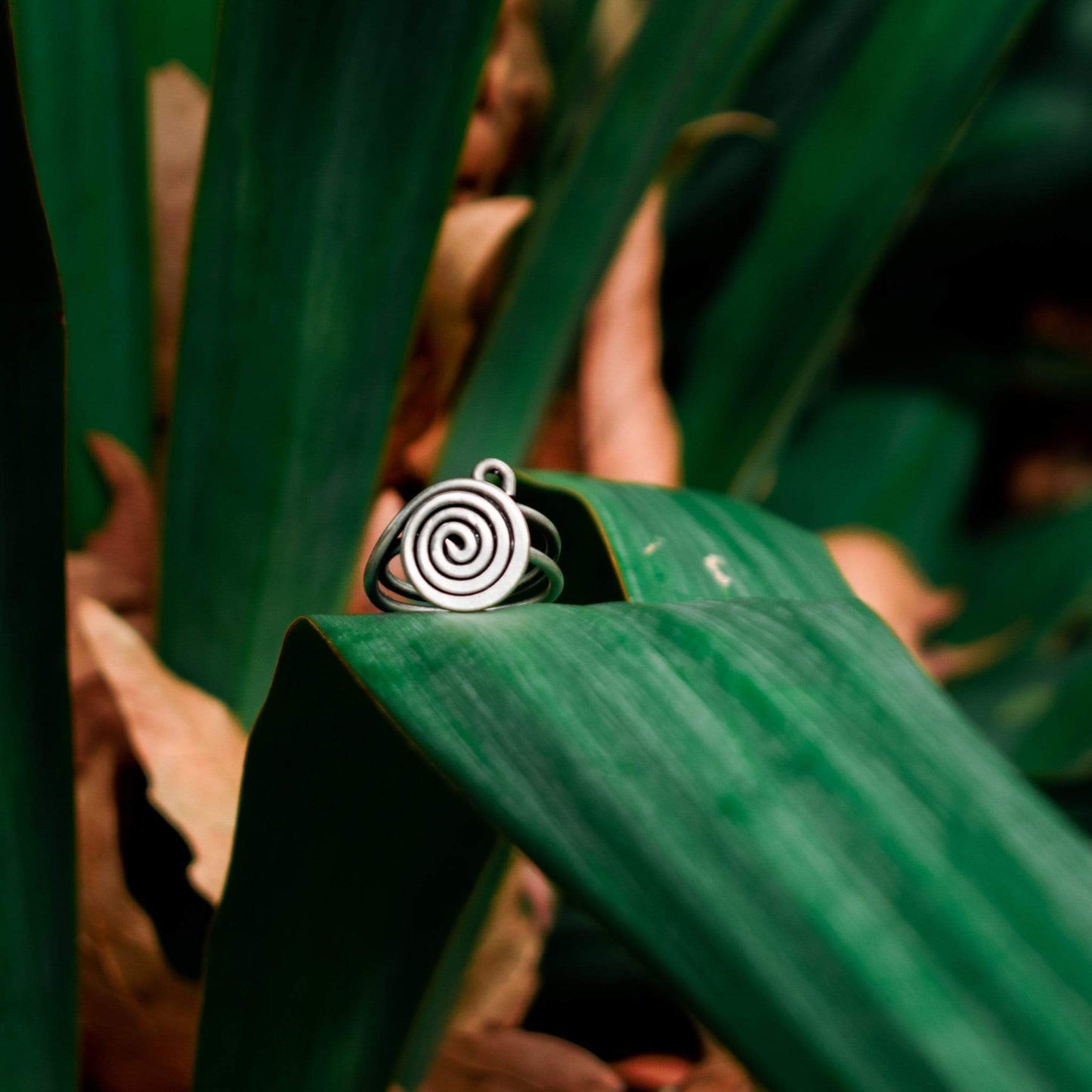 The Circle of Life Ring